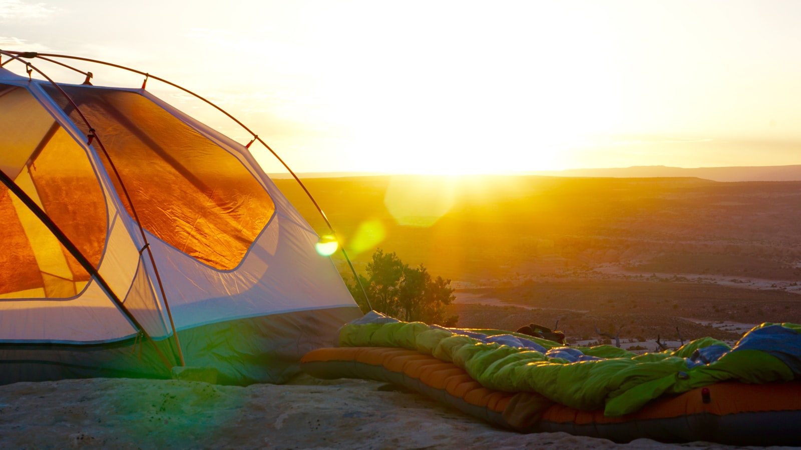 A tent pitched in a clearing at golden hour with forest in the background